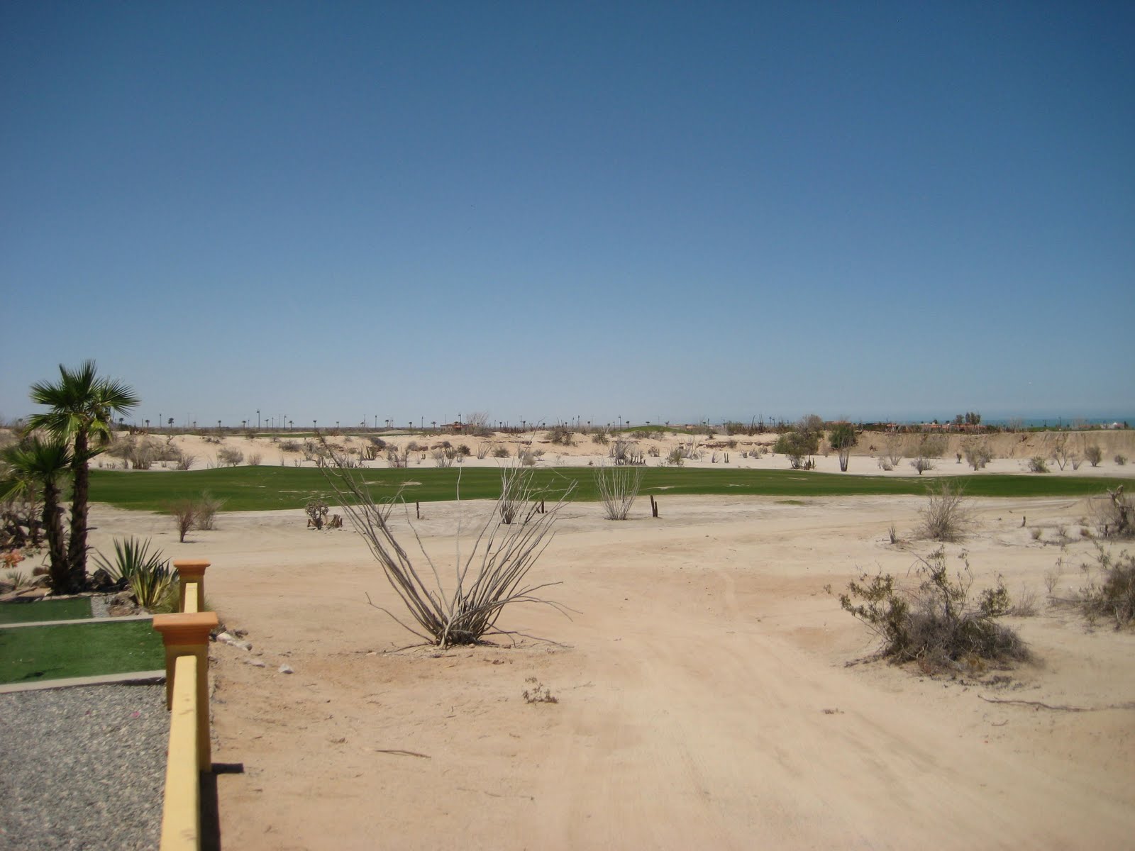 San Felipe, Baja California, Mexico Real Estate Updates and News La