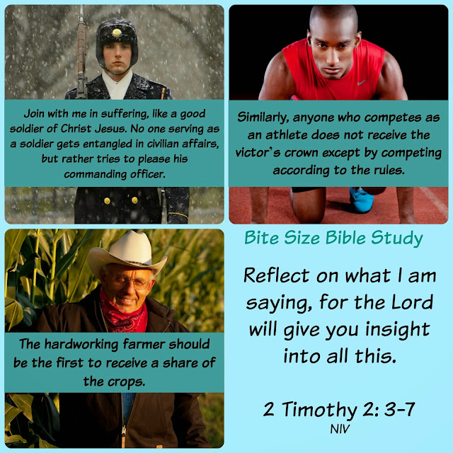 1 Timothy 2:1-7, reflect on solider farmer athlete