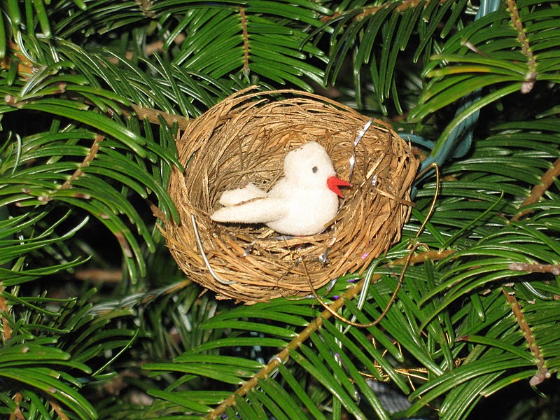 Living a Dream Treasures on the Tree Bird Nest