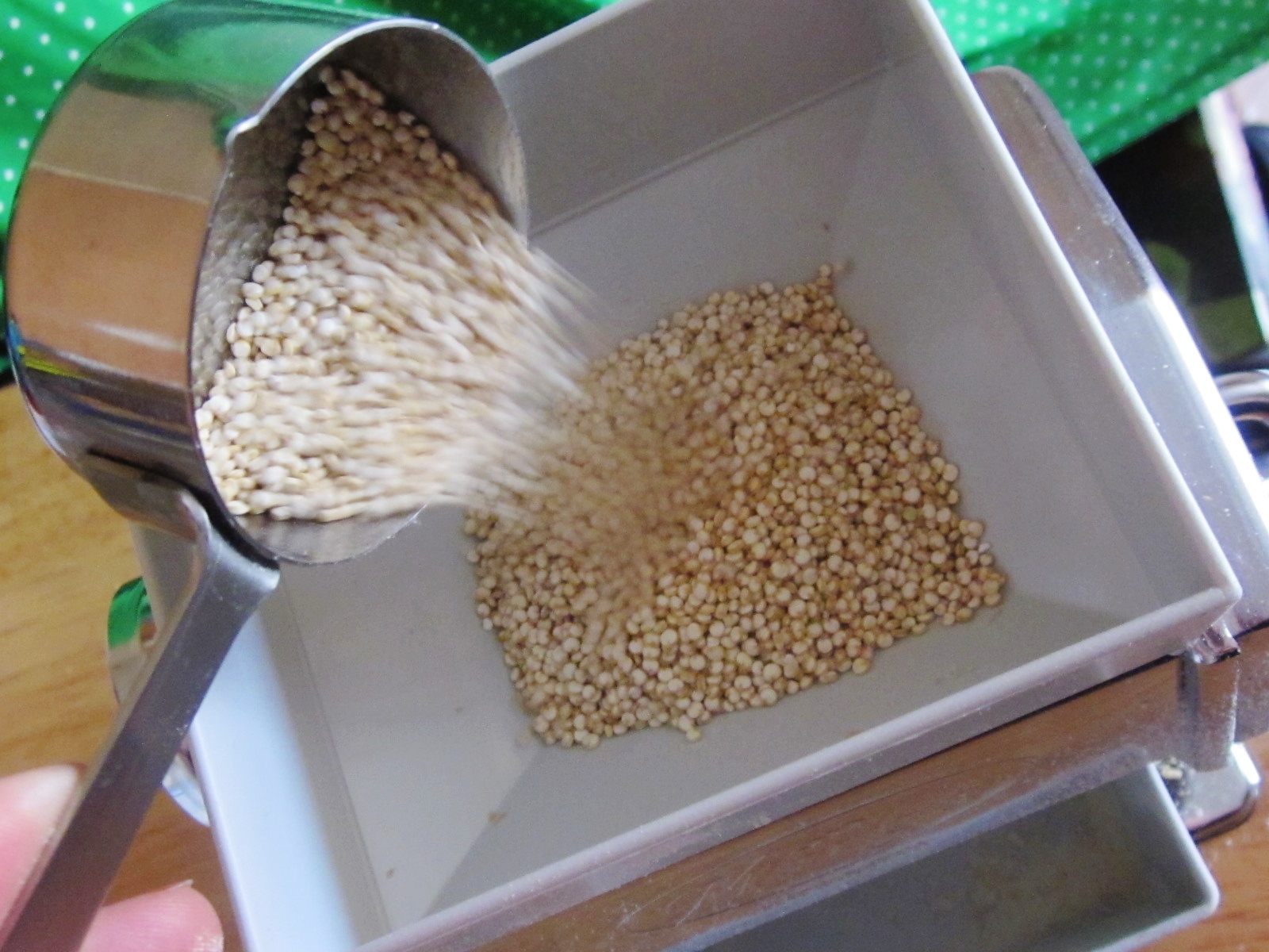 How do you make an oatmeal poultice?