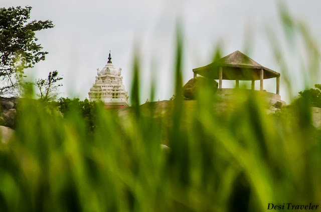 A Temple on Hilltop temple near paddy fields