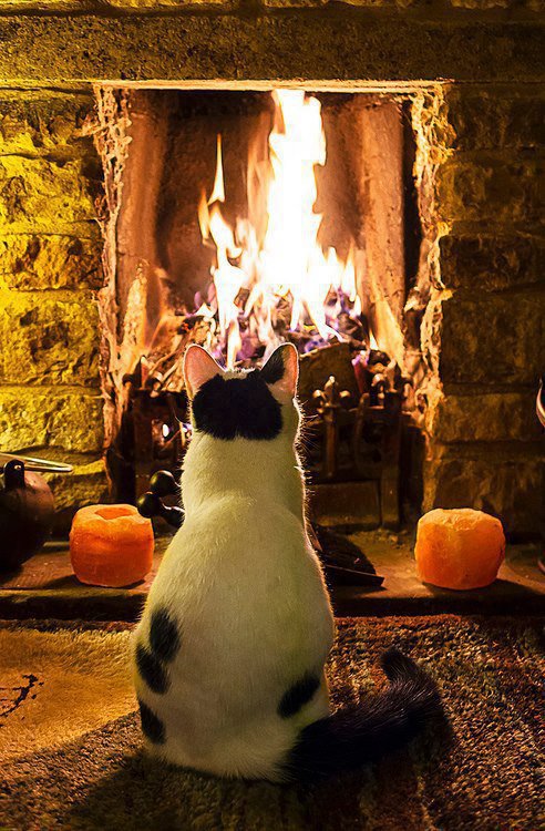 Sass De Le Strie Racconti E Poesie Di Bruno Agosti Una Bella Poesia In Dialetto Salentino