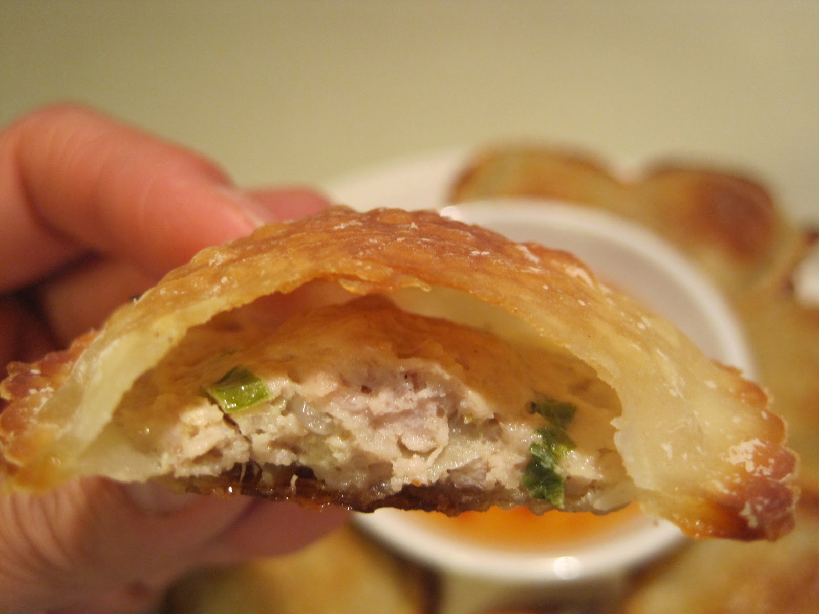 Shaped Pork Egg Rolls Food for the Finicky