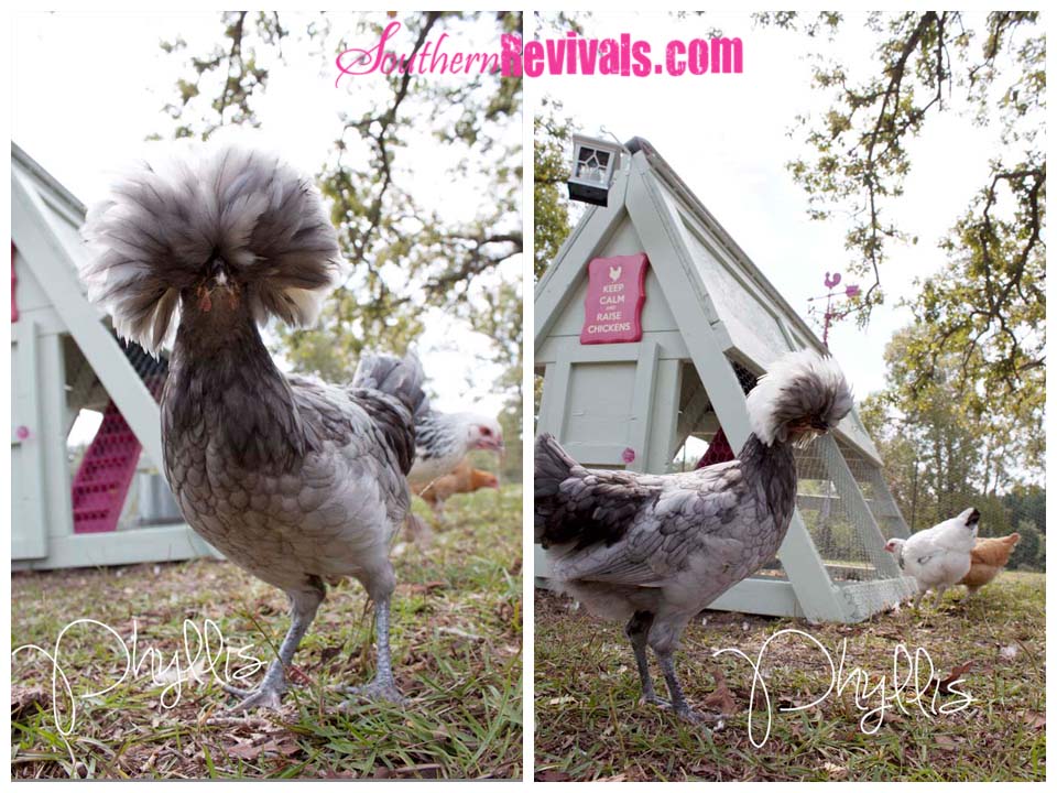 Barbie Dream House Chicken Coop Southern Revivals