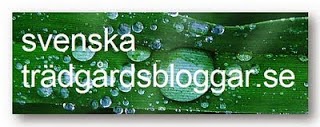 Svenska trädgårdsbloggar