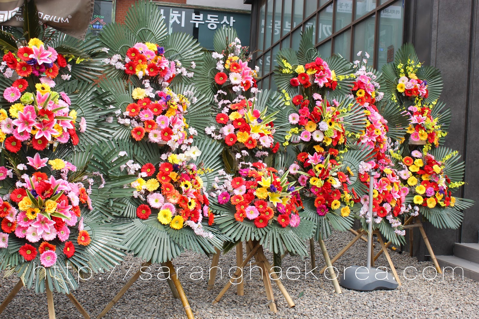 5 Korean Cultures That May Shock You - Saranghae Korea