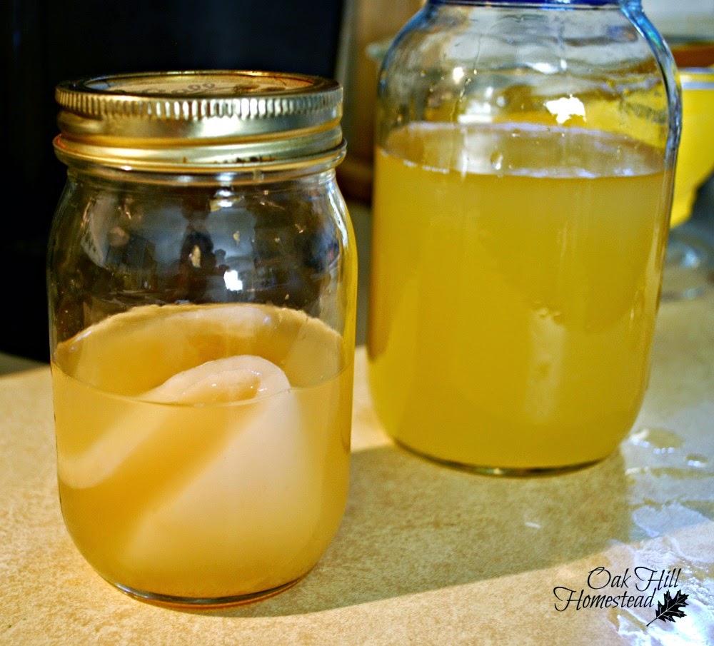 Homemade Vinegar Oak Hill Homestead