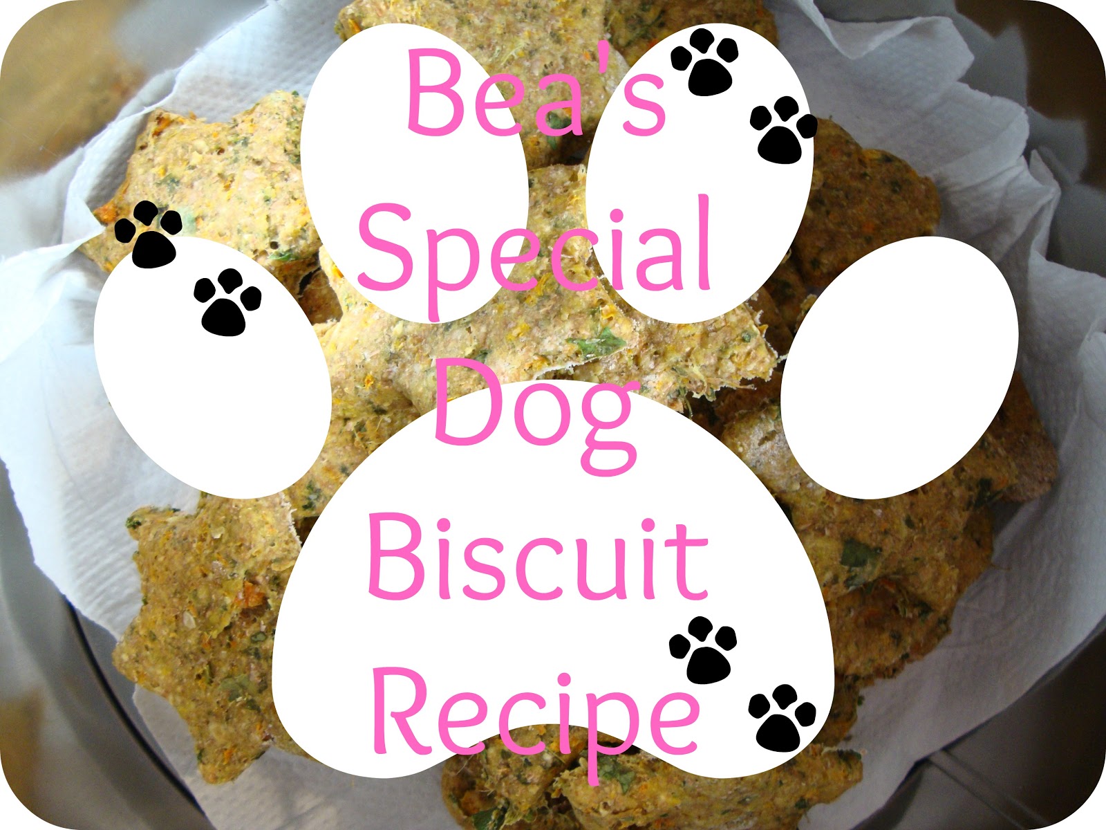 Miss Beatrix Beatrix's Special Dog Biscuit Recipe