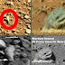 Περίεργα αντικείμενα αποκαλύπτει το Curiosity στον Άρη (VIDEO)