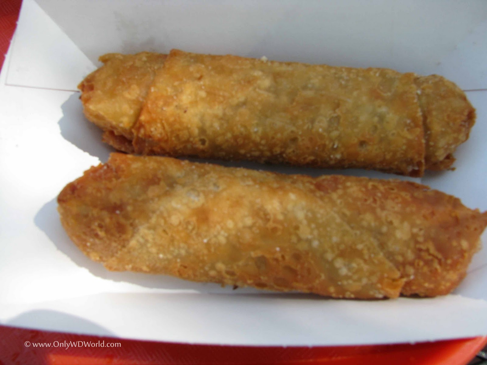 Disney World Dining Yak & Yeti Local Foods Café Disney World Blog