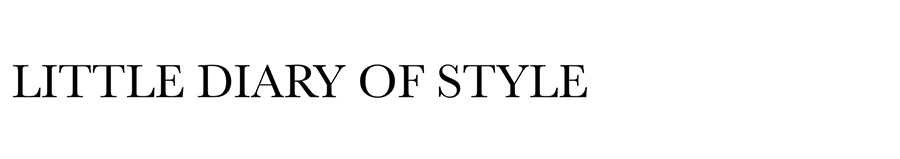 LITTLE DIARY OF STYLE