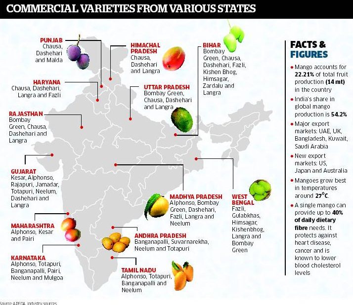 India’s mango exports to remain below 25,000 tonnes this year Assocham