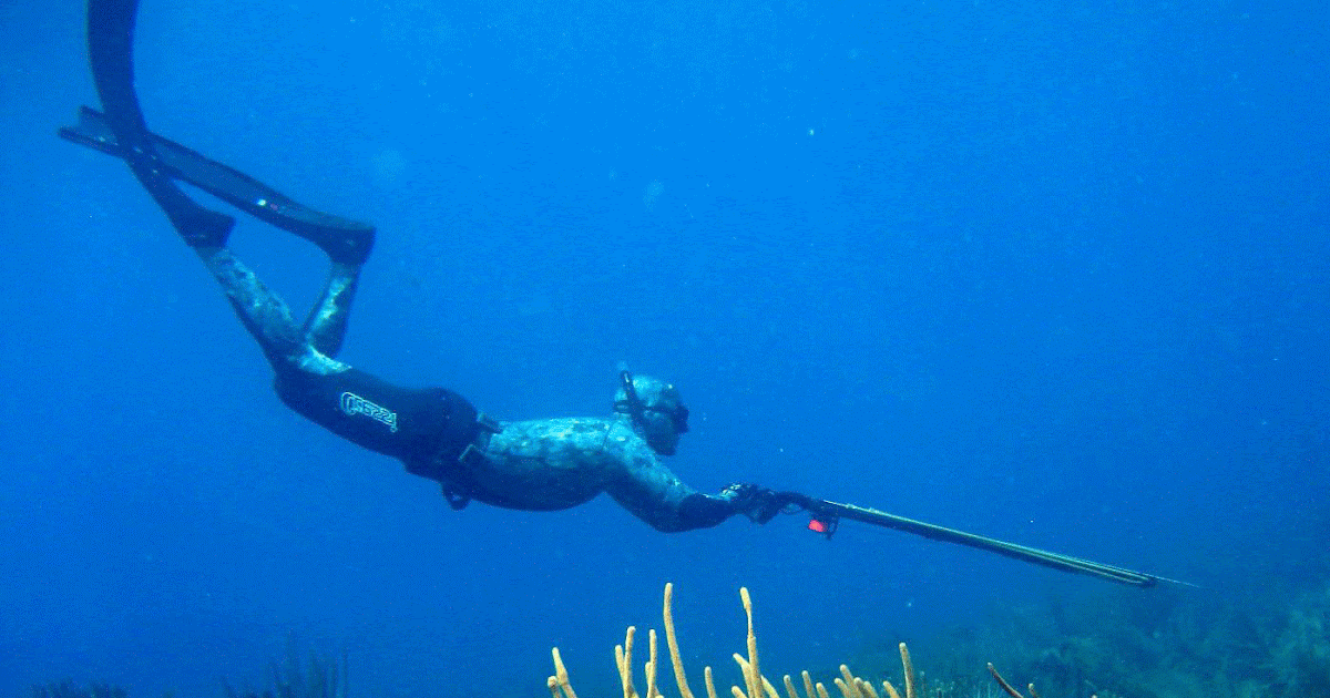 SCUBA SCOOP/latest dive stories Scuba Diving Lessons for Life Is