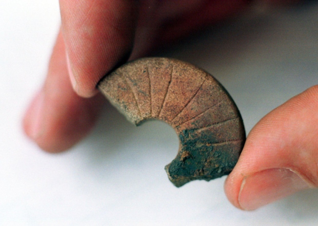 Rare Viking relic discovered at Perthshire dig
