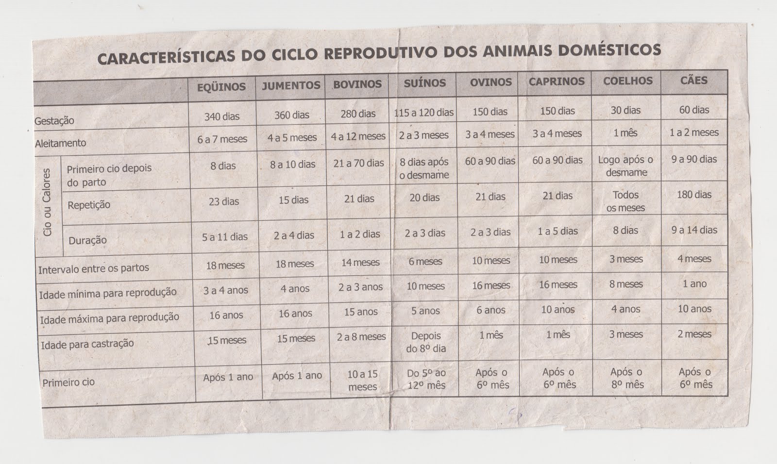 QUEM NÃO CRIA PIA  ESTA SENDO ELABORADO  ESTE  TEXTO SOBRE A VIDA ANIMAL