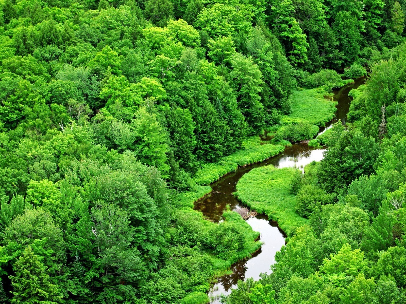 Beautiful Hd Nature Wallpapers And Backgrounds Desktop Full Hd 1080p Wallpapers And Background Images