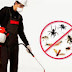 ΛΥΣΗ SOS: Τα 4 μαγικά συστατικά της φύσης που εξολοθρεύουν τα έντομα από το σπίτι 