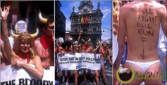 Demo bugil tolak adu banteng di Spanyol Demo bugil tolak adu banteng di Spanyol