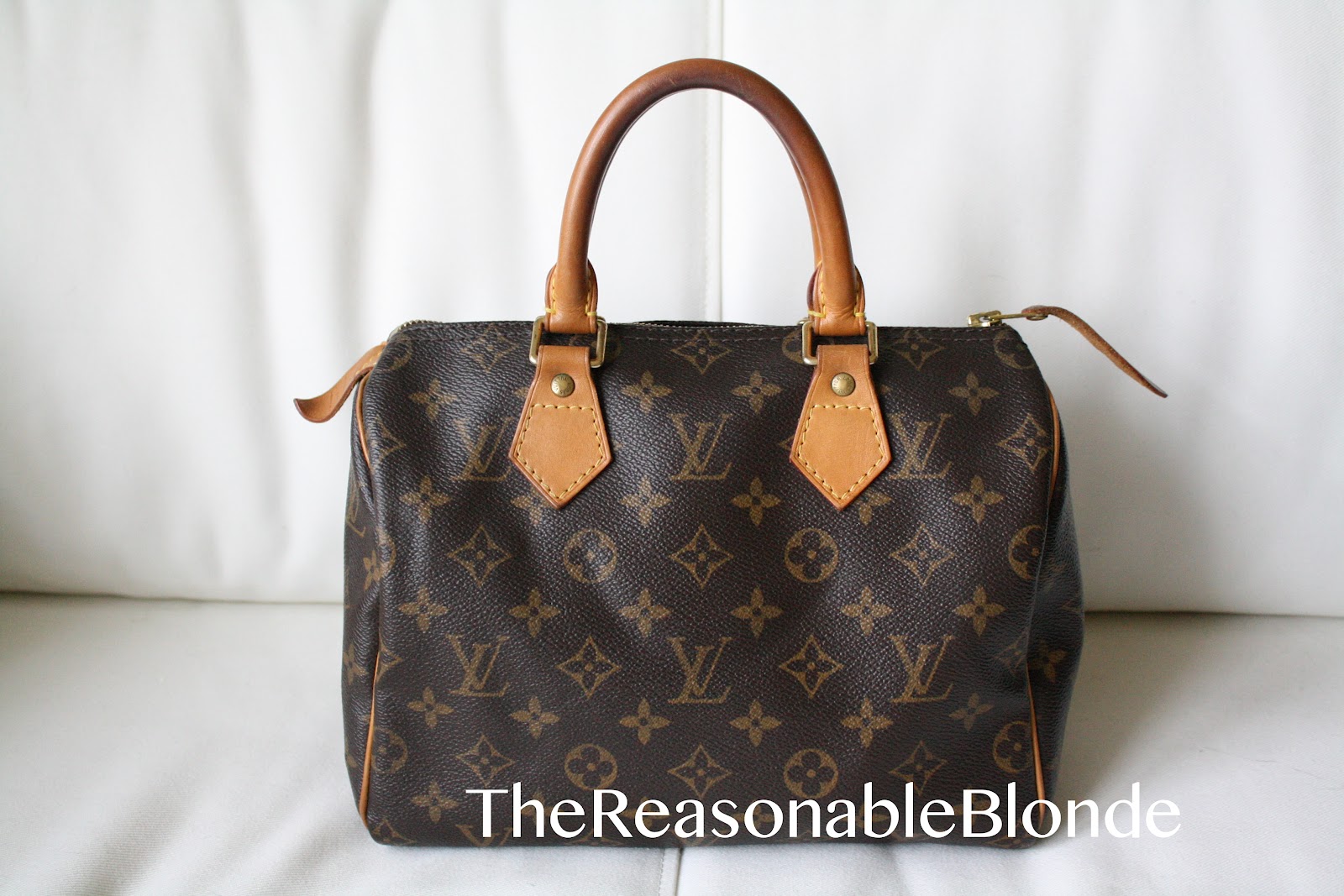 The Reasonable Blog: How I Cleaned my Louis Vuitton Speedy