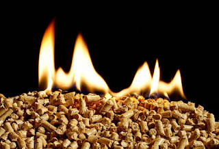 Mantenimiento y venta de calderas de biomasa