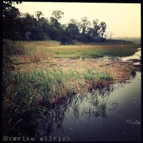 Soft, autumn morning, with fog- Cape Cod- by Karina Allrich Soft, autumn morning, with fog- Cape Cod- by Karina Allrich