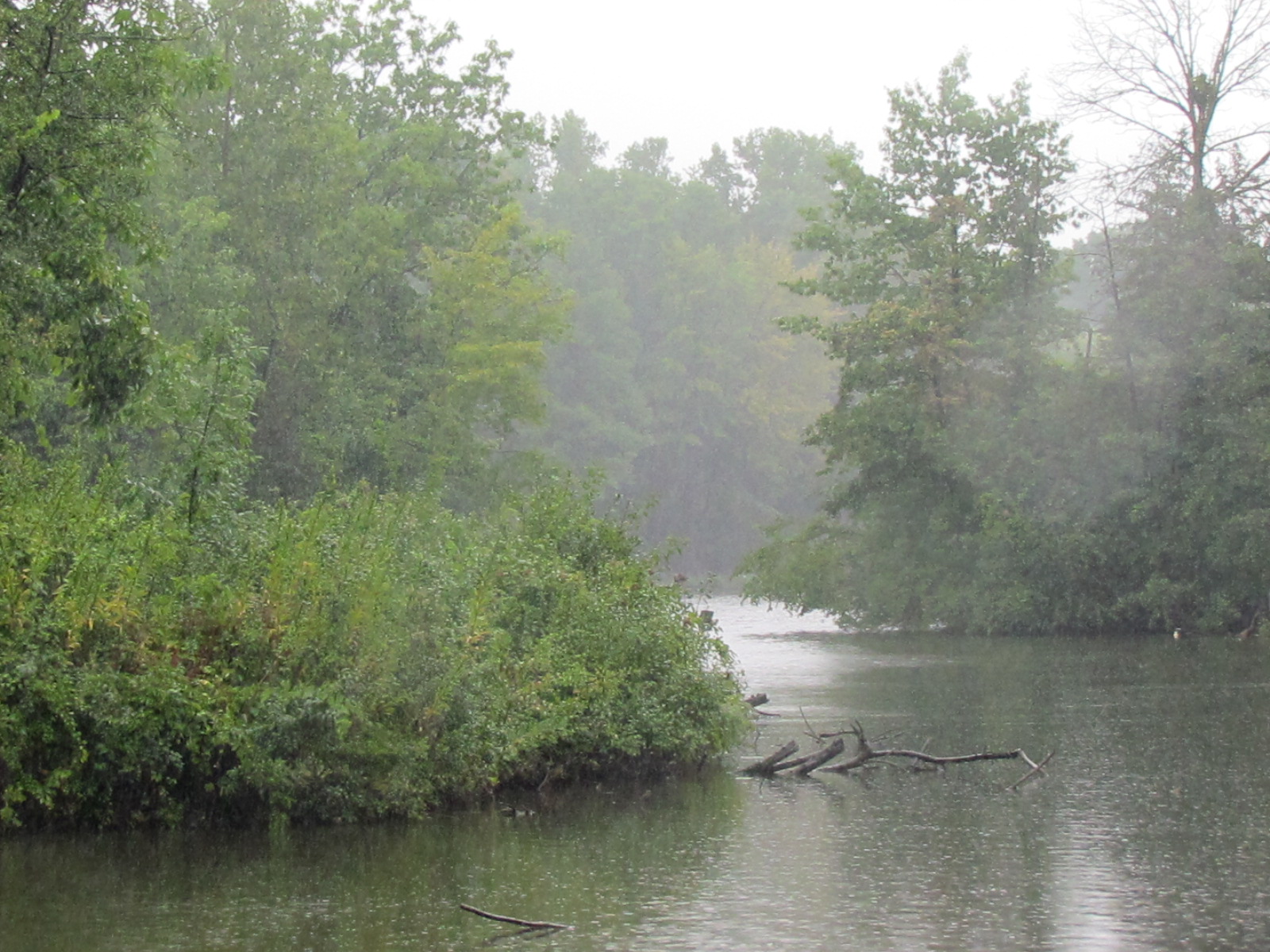 City of Bloomfield Hills rainy day at endicott lake