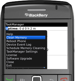 BLACKBERRY CLEANING MEMORY