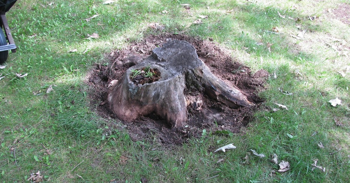 The Original Mechanic How to flush cut a stump