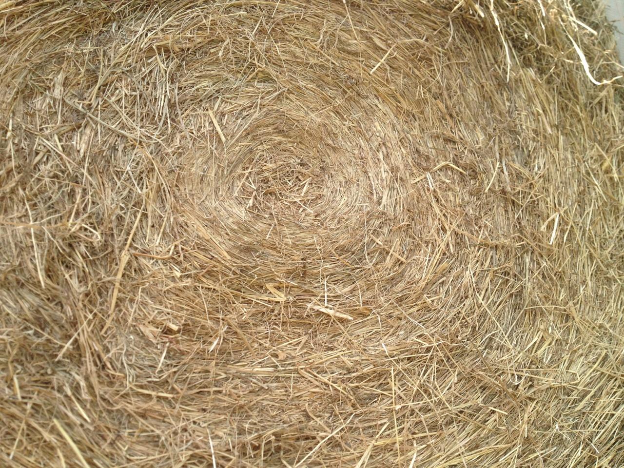 White House Farms Bermuda Mixed Grass Horse Hay
