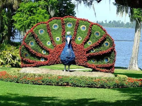 Scultura vegetale | L'arte Topiaria