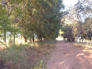 2012