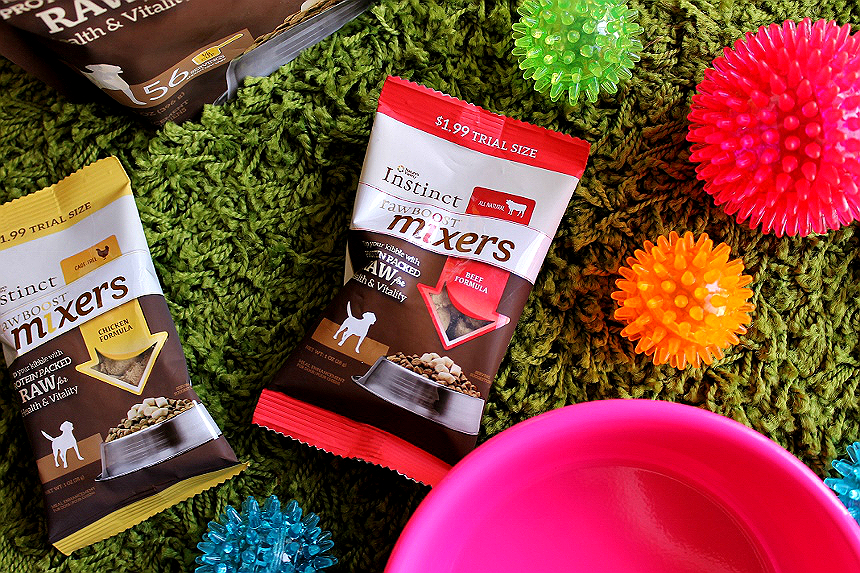 Momma Told Me D.I.Y Slow Feeder Pet Bowl + Raw Boost Mixers