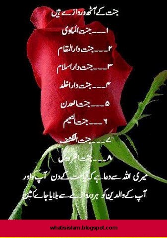 Dua ~ What Is Islam