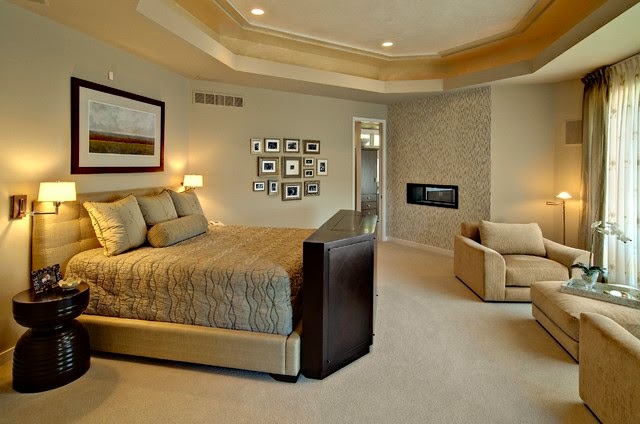 Contemporary Master Bedroom design