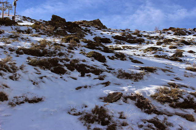 escapada a sierra nevada con niños, mirlo blanco, hoya mora