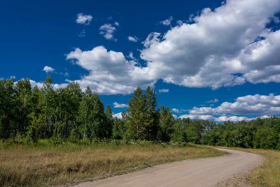 Лесами, на север (на вело, 1020 фоток)