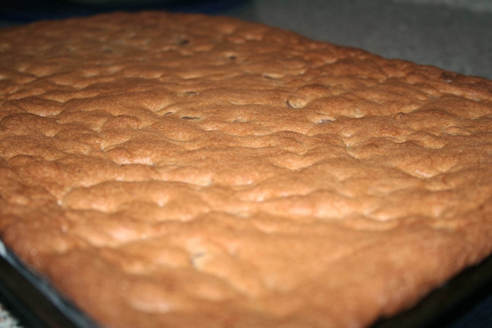 NOVA Frugal Family Hershey's Chocolate Chip Cookie Bars