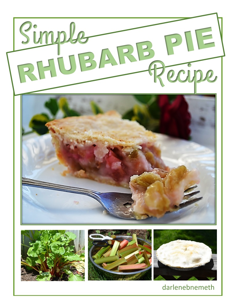 Let It Shine: Simple Rhubarb Pie Recipe