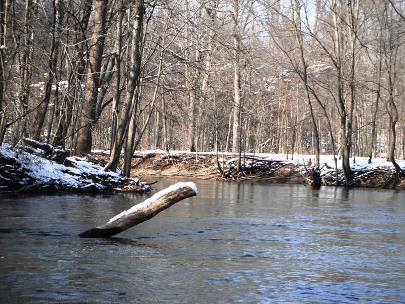 Musings February 2012