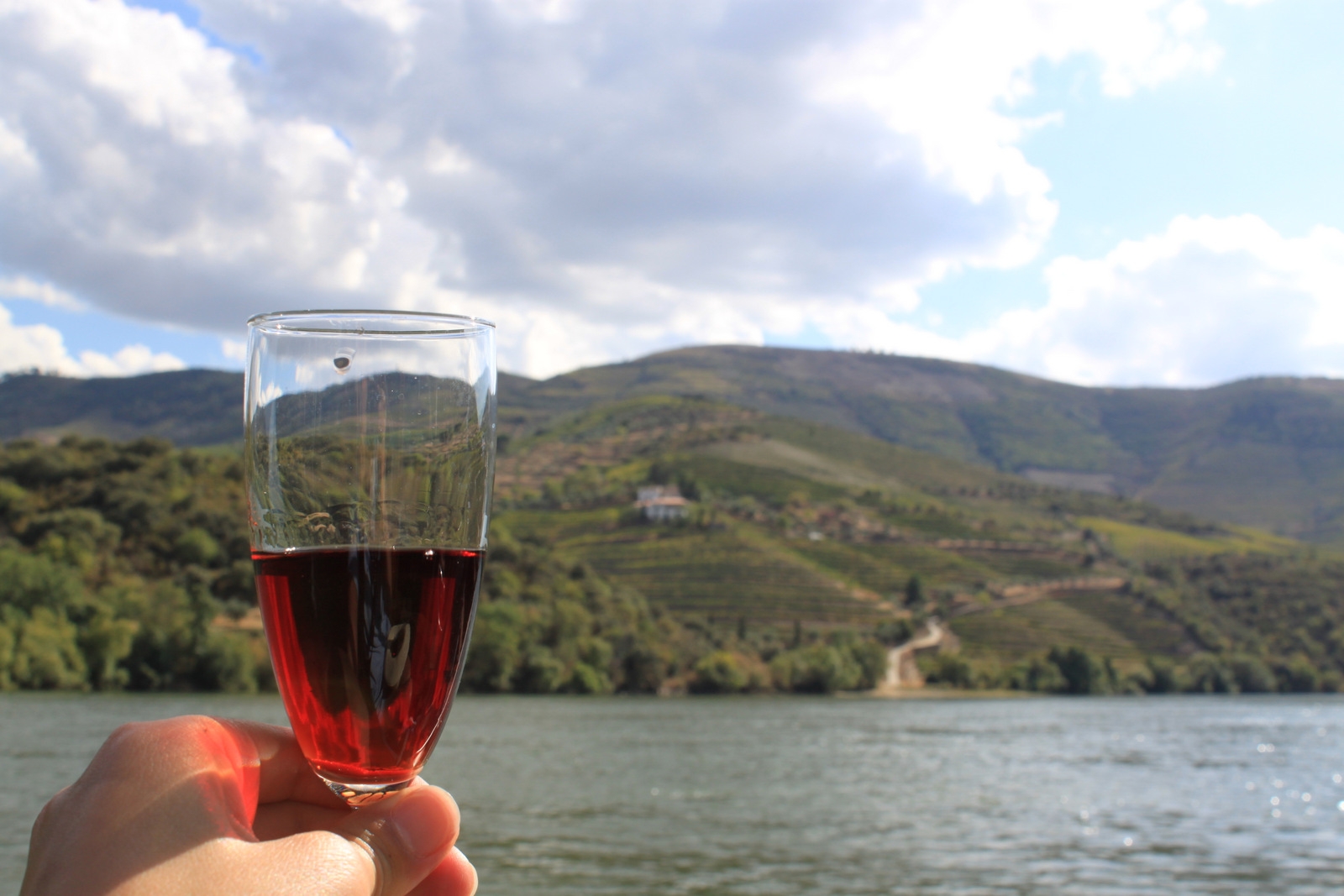 Croisière Magnifico Douro