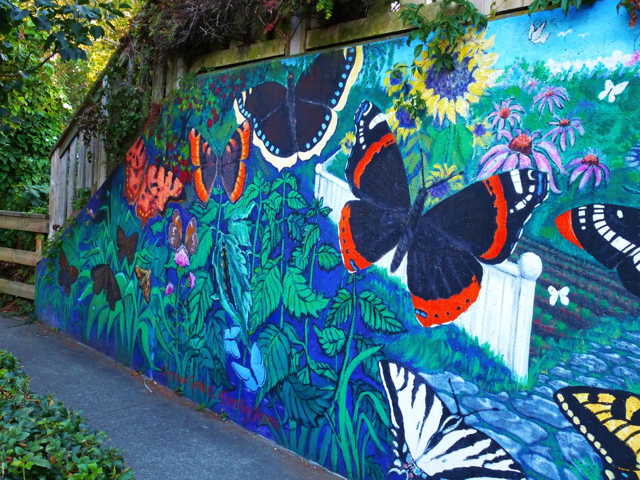 Murals and More Butterfly wall