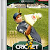 Cricket Revolution World Cup 2011 Download Game Free 