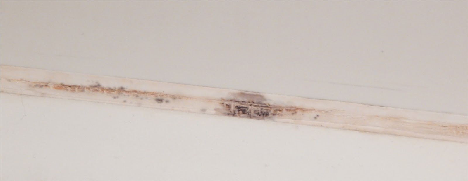 The Easy Way to Get Mold Off Grout Proverbs 31 Woman