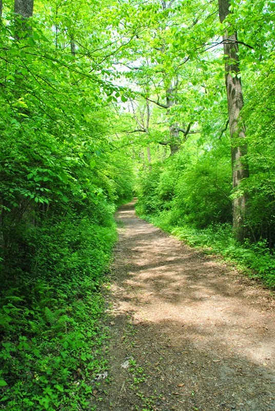 Southeastern PA Hiking Ridley Creek State Park