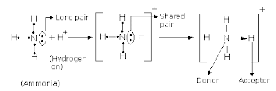 gambar ikatan kovalen koordinasi amonium