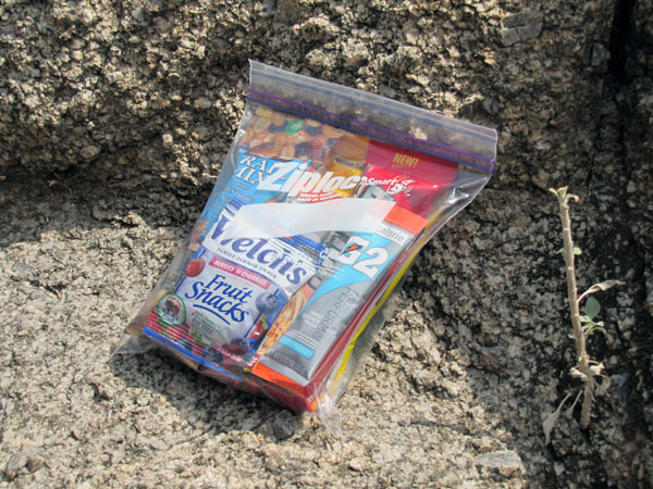 Bug Meals