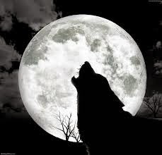 Lemme hear ya HOWL! Lemme hear ya HOWL!