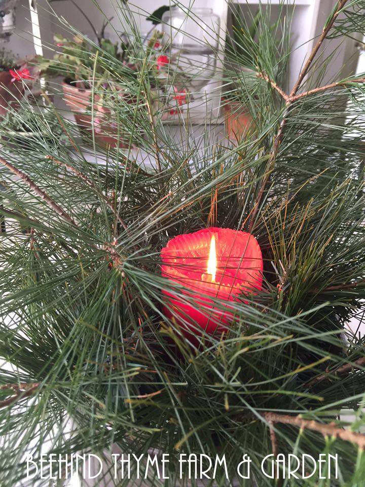 Beehind Thyme Farm & Garden SWEET 2 The Soul...