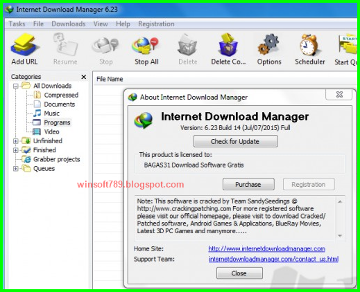 download the new version for windows Internet Download Manager 6.41.15