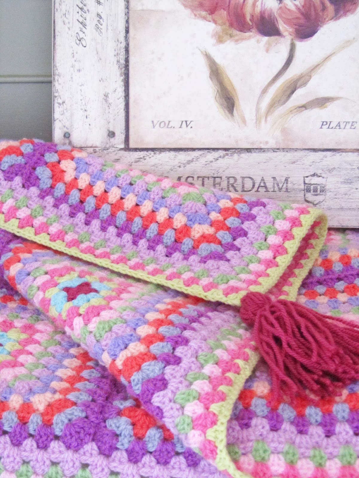 Helen Philipps Plum Tassel Blanket